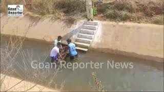 Goan Reporter News: Bison Calf Rescued from Vazrim Canal by Local Residents