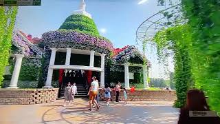 dubai miracle garden 🏡