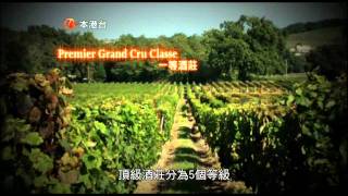 葡萄新貴族 2010-10-16 姚佳雯