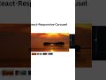 Top 5 React Carousel Components #reactjs #carousel #slider
