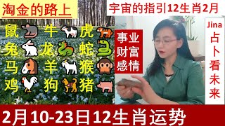 12生肖阳历2025年2月中10-23日: 事业/财富/感情/宇宙的指引/时间轴在下方