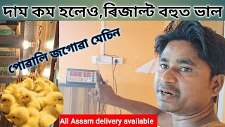 Egg Incubator machine in Assam, কনী ফুটোৱা মেচিন। Assam Incubator machine