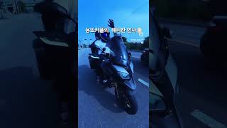 텐덤 커플의  인사법🤚🏻 #바이크카페 #텐덤바이크 #바이크투어 #바이크라이프 #바이크사진 #바이크유튜버 #바이크튜닝