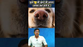 क्या आप जानते है 🤔 कि कुत्ते 🦮 के सूंघने की क्षमता अधिक क्यों होती है ? #shorts #youtubeshorts #dog