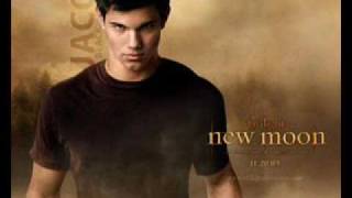 New Moon- Who's Hotter- Jacob