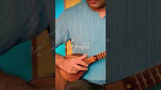 شبانگاهان_پرویز یاحقی_نوازنده بهزاد دشتی #سهتار #music #setar