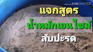 ตอนที่​6​ เอนไซม์เปลือกสับปะรด​ ทำง่ายประหยัดเยอะ