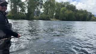 Rogue Summer Steelhead On The Swing