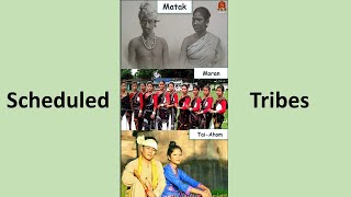 Scheduled Tribes || UPSC Current Affairs || Shankar IAS Academy || Mains & Prelims '23 || #Shorts