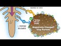 Organic Matter Expands CEC + the Classic Chemistry | Regenerative Soil