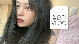 집순이vlog/집사의 생활/백수의 하루