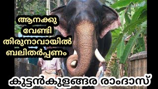 കുട്ടൻകുളങ്ങര രാംദാസിനു വേണ്ടി , KUTTANKULAGARA RAMDAS STORY, KERALA ELEPHANT STORY, KERALA ELEPHANT