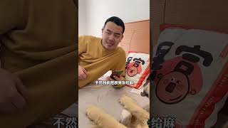 四毛通過賣慘讓毛爸妥協#Shorts