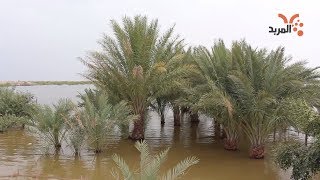 شاهد غرق المنازل والبساتين واحواض الاسماك شرق القرنة #المربد