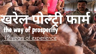 पाँच सय कुखुरा बाट सुरु गरेको poultry farm अहिले करोडौंको मालिक