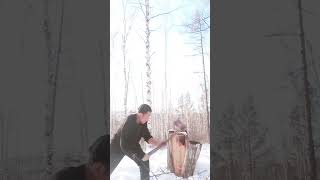 Break firewood #survival #axeforge #firewood #mountains #burningaxe #wood