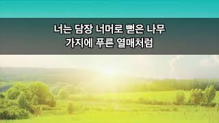 2025.2.9 대전온누리교회 세종교육관 일요주일 1부예배 (09:00) YouTube Live