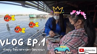 Vlog วันหยุดทำบุญให้อาหารปลา