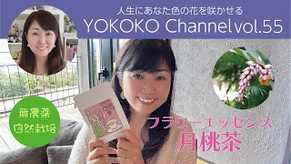 【新発売】フラワーエッセンス入り月桃茶はコレ！　YOKOKOchvol.55