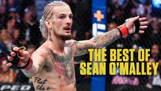 Sean O’Malley’s best UFC highlights | ESPN MMA
