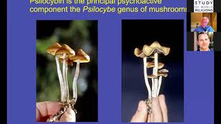 Psilocybin & Mystical Experience: Implications for Healthy Psychological Functioning & Spirituality