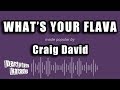 Craig David - What's Your Flava (Karaoke Version)