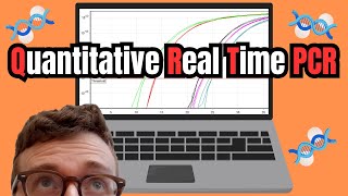 Quantitative Real Time PCR (qPCR)