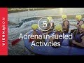 5 action-packed Outdoor Activities in Vienna