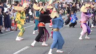 賑跳組Ｂ、上々連 黄金の舞（山王日枝神社賞）／庄内はえや節流し踊り⑤／第15回 おぃやさ祭り2019