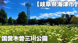 岐阜県大垣市墨俣町【墨俣一夜城】から岐阜県海津市【国営木曽三川公園】へサイクリング