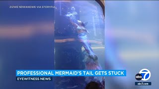 Shopping mall mermaid struggles for air as tail gets caught