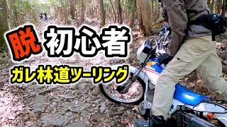 脱初心者 ガレ林道ツーリングに参加してきた【セロー225】