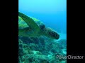 游龍潛水＊109 04 27 padi open water diver開放水域潛水員