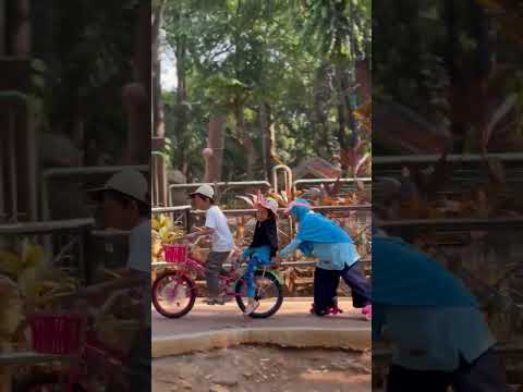 Liburan Ke Kebun Binatang - YouTube