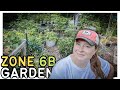 END OF JULY 2024 GARDEN TOUR AFTER BEING AWAY | Connecticut Garden #zone6b