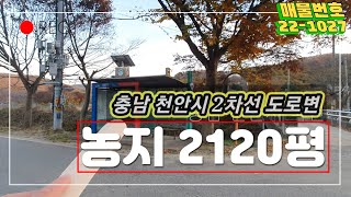 귀한토지 천안시 북면 2차선도로옆 농지매매 2120평 +하천부지1500평 사용 4억7,100만원