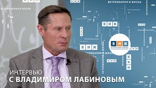 Интервью с Владимиром Лабиновым