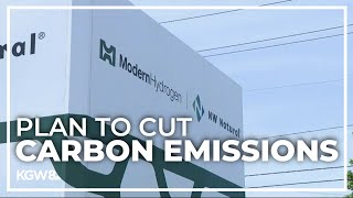 How production of 'turquoise hydrogen' reduces carbon emissions