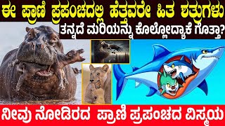 ಪ್ರಾಣಿಗಳು ತಮ್ಮ ಮಕ್ಕಳನ್ನೇ ಯಾಕೆ ಕೊಲ್ಲುತ್ತೆ.! Worst Animal Parent in Animal Kingdom | Charitre Kannada