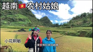 小花和艾敏去收水稻。你们在中国农村跟我们收水稻一样吗