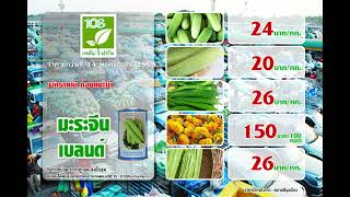 ราคาผักประจำวันที่ 14 พฤศจิกายน 2565