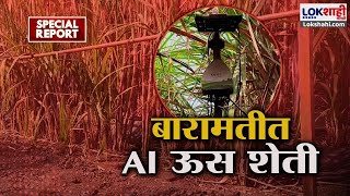 Special Report | बारामतीत कृषी विज्ञान केंद्राची कमाल, चक्क AI तंत्रज्ञानाच्या माध्यमातून ऊस शेती