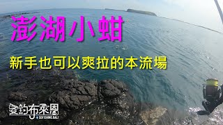 新手也可以爽拉的釣點，知道作釣攻略，要爆桶不是夢~ #臭肚近百 #澎湖小蚶 #毛司嶼  #上礁釣魚 #釣遊