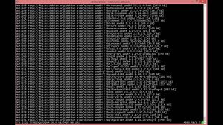Building a Custom Debian 13 Distro from Scratch – 10 Minutes with Debootstrap (2025 Update)