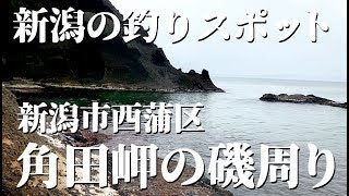 新潟 釣りスポット〈角田岬の磯周り〉黒鯛・アオリイカ・シーバス・アジなど豊富な魚種が狙える玄人向きの釣り場です！