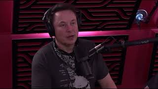 How much does Elon Musk sleep? 😴