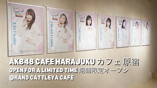 AKB48 CAFE Harajuku @Rand Cattleya Cafe (Open for a limited time)