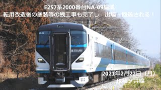 青塗装他改造完了！E257系NA-09編成 特急踊り子仕様で出場・回送される！2021.2.22 JR篠ノ井線　　　panasd 2222