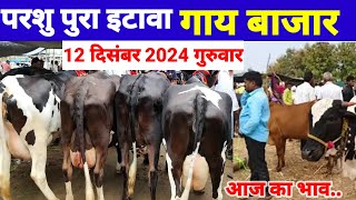 परशु पुरा पशु बाजार इटावा | Parsu pura Pashu bazar Etawah | फेमस पशु गाय बाजार | Pashu Mandi