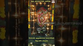 சேர்மன் நாமம் தினமும் சொல்லி இறைவன் பாதம் பணிந்திடுவேன் | Cherman Arunachala Swamy 326-th video